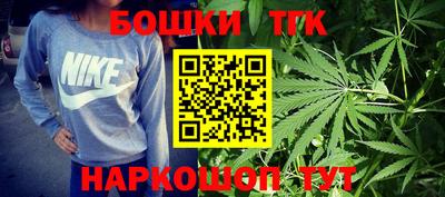 соль ск Новодвинск