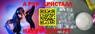 соль ск Новодвинск