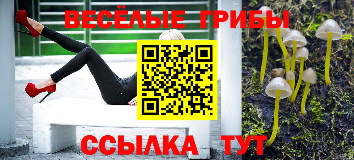 Псилоцибиновые грибы прущие грибы  Галлюциногенные грибы ЛСД  Вход с VPN  Россошь 